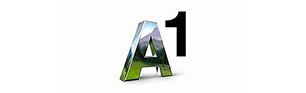 A1